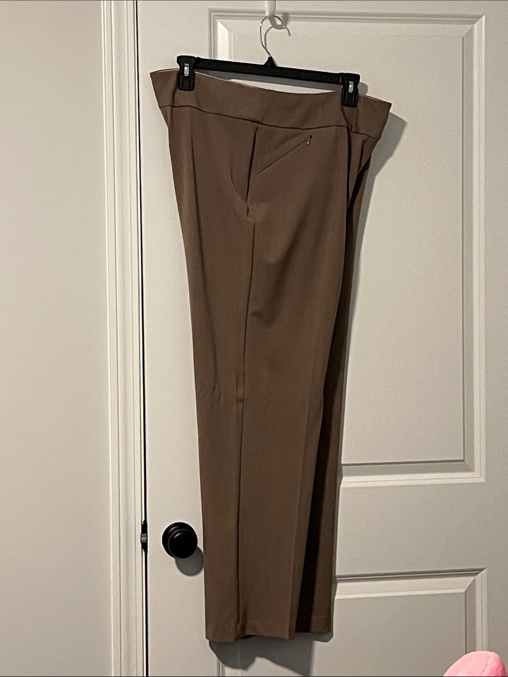 Investments Straight Leg Pants in Brown